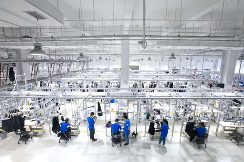 阿里巴巴開了個工廠 秘密研究三年的犀牛智造工廠亮相