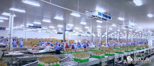 讓職工做企業的主人,河北光明九道菇暢通廠務公開渠道